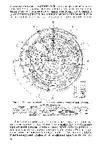 Рис. 21. <a href="/info/1524337">Радиально-круговой</a> график <a href="/info/478952">изображения периодической системы</a> по Н. П. Агафошину 