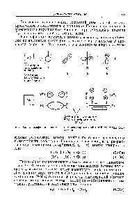 Рис. 9.6. <a href="/info/1059467">Классификация атомных</a> и <a href="/info/1199">молекулярных орбиталей</a> по типам симметрии.