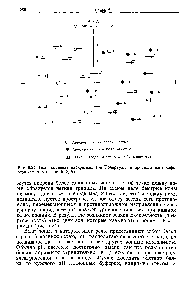 Рис. 5.24. <a href="/info/1702428">Возникновение дискретных</a> зон Кольрауша в процессе изотахофореза (см. также рис. 5.18,5).