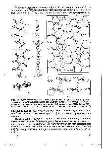 Рис. 1.9. Конфигурация (а) и <a href="/info/1346113">взаимное расположение</a> (б) молекул в <a href="/info/1264553">кристаллическом полиэтилентерефталате</a> (по Дабепу, Банну и Брауну). Вверху — проекция, <a href="/info/617887">перпендикулярная плоскости</a> 010 внизу — проекция вдоль оси с (большие точки — углерод маленькие — водород, кружки кислород).