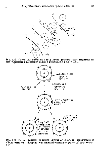 Рис. 3.32. Схема возиикиовеиня непрерывного рентгеновского излучения за <a href="/info/1745272">счет торможения</a> элевдронов пучка в <a href="/info/570753">кулоновском поле</a> атомов.