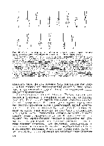 Рис. 66. Схема, иллюстрирующая образование хромосомных перестроек при одном (а—в) и <a href="/info/1696521">двух</a> повре кдениях хромосомы в одном плече (г—о) а — хромосома с одним поврежденпым локусом, 1, 2 — поверхности разрыва б — укороченная хромосома и фрагмент при отсутствии воссоединения в — та исе укороченная хромосома и парный <a href="/info/700396">ацентрический фрагмент</a> после удвоения г — хромосома с двумя )и1вреждекными локусами в одном плече, 1—4 — поверхности разрыва 5 — укороченная хромосома <a href="/info/1707979">после соединения</a> <a href="/info/1696521">двух</a> участков (/, 4) н выпавший участок (2, 3), образовав-ти1"1 кольцо < — то же, после удвоения ж — хромосома с <a href="/info/1338525">парацентрической инверсией</a> после переворота участка 2—3 иа 180° и соединения з — то же, после удвоения и — укороченная хромосома <a href="/info/1707979">после соединения</a> поверхностей разрывов 1—2 и фрагмент 4) к — то же, после удвоения л — укороченная хромосома, кольцо и фрагмент при <a href="/info/1496692">отсутствии соединения</a> I, 2 и 3. 4 м — то же, после удвоения к — укороченная хромосома и крупный <a href="/info/700396">ацентрический фрагмент</a> (2, 3, 4), образовавшийся <a href="/info/1707979">после соединения</a> разры-ио1) 3—4 (то же самое можно было бы наблюдать, если бы участок 2—3 перевернулся На 180° и присоединился к фрагменту с поверхностью разрыва 4) о — то же, после удвоения.