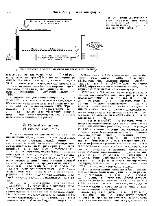 Рис. 19.6. <a href="/info/1349890">Блоттинг</a> по Саузерну позволяет осуществить прямое выделение фрагментов ДНК, соответствующих специфическому зонду, из смеси рестриктов ДНК генома.