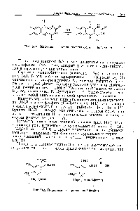 Рис. 14.5. <a href="/info/70427">Пиридоксин</a> и <a href="/info/102341">пиридоксаль</a>-5-фосфат.