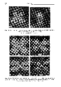 Рис. 35.12. Типичная <a href="/info/128572">картина малоуглового светорассеяния</a> от недеформирован 