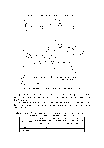 Таблица 19.1.17. Распределение метки в <a href="/info/97411">ароматическом кольце</a> тирозина и серотонина по отношению к <a href="/info/5243">гидроксильной группе</a> (реакция при 150 °С) [53]