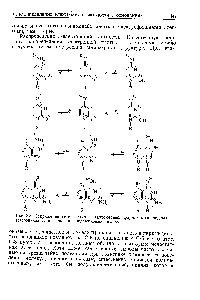 Рис. 3.3. Сопряжение гетероатомов в <a href="/info/164568">таутомерных формах</a> производных <a href="/info/293210">гетероциклических оснований нуклеиновых</a> кислот.