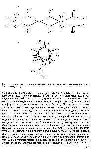 Рис. IV. 19. Схемы Р-структурной (a) и а-спиральной (б) <a href="/info/82245">моделей молекулы</a> тахиплезина (по Л.Б. Меклеру [352])