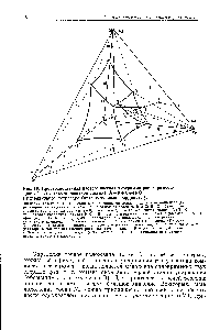 Рис. 19. <a href="/info/1720621">Пространственная изотермическая диаграмма растворимости</a> <a href="/info/1495457">простой четырехкомпонентной системы</a> А+В4-С+Н2О в <a href="/info/761622">неправильном тетраэдре</a> (прямоугольные координаты) 
