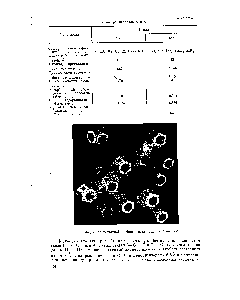 Рис. 3. <a href="/info/92294">Модель элементарной ячейки</a> цеолита типа X (фоязита).