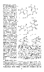 Рис. 12.11. <a href="/info/1891197">Механизм мутагенного действия</a> 2-аминопурина (по Г. Стенту, 1974, с дополнениями). Спаривание 2-аминопурина с цитозином (А) и ТИМИНОМ (Б). Внизу — два <a href="/info/33088">механизма индукции</a> транзиций. В — <a href="/info/103148">ошибка репликации</a>, состоящая в том, что АР включается при репликации (1) на место А, а затем спаривается с С (2) в третьем <a href="/info/1901090">цикле репликации</a> (3)С нормально спаривается с О, и <a href="/info/461013">таким образом</a> завершается переход АТ ОС. Г — ошибка включения, состоящая в том, что АР спаривается с С (I), а затем нормально спаривается с Т (2) в третьем <a href="/info/1901090">цикле репликации</a> Т спаривается с А, и <a href="/info/461013">таким образом</a> завершается переход ОС АТ