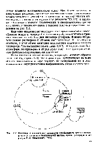 Рис. 2.2. <a href="/info/1456084">Некоторые важнейшие</a> элементы глобального цикла кислорода и его связи с <a href="/info/1530555">биотической частью</a> <a href="/info/104585">цикла углерода</a> и серы (по г. А. Заварзину, 1984)