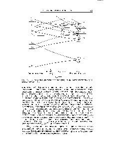 Рис. 14.8. <a href="/info/3052">Корреляционная диаграмма</a> для <a href="/info/599748">молекулярных орбиталей гомоядерных двухатомных</a> молекул [4].