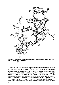 Рис. 20. Антикодоновая петля <a href="/info/958945">фенилаланиновой</a> тРНК дрожжей <a href="/info/480363">шаростержневая модель</a> (водороды не показаны)