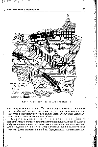 Рис. 4. Картограмма кислотности почв (1950 г.)