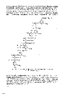 Рис. 24. <a href="/info/1242522">Схематическая формула</a> лигносульфоновой кислоты гю Ф. Браунсу [31].