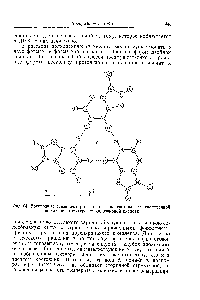 Фиг. 64. <a href="/info/1038770">Водородные связи между</a> остатками гипоксантина в трехцепочечной <a href="/info/97145">спиральной структуре</a> полиинозиновой кислоты.