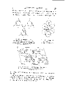 Рис. 426. 2-Амино-4,6-дихлорпиримидин. Проекция ас. в скобках даны координаты у в А. Пунктирные линии — водородные связи.