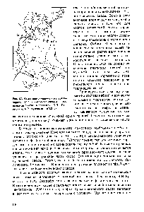 Рис. 37. Карта максимальных палеотемператур (°С) кровли отложений тюменской свиты (составили Б.П. Ста-вицкий, А.Р. Курников, 1980 г.)