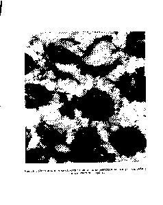 Рис. 109. Участок хлоропласта, вид с поверхности (электронная микрофотография).