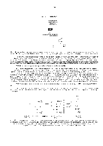Рис. 7-41. <a href="/info/201271">Реакции фотосинтеза</a>, протекающие в хлоропластах, можно подразделить на электрон-транспортирующие реакции и <a href="/info/739473">реакции фиксации</a> углерода В <a href="/info/1552561">первой группе реакций</a> <a href="/info/89774">окисляется вода</a> и выделяется О2, а во <a href="/info/172817">второй группе</a> ассимилируется СО2 и <a href="/info/1658106">образуются органические</a> молекулы.