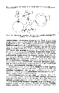 Рис. 4.6. <a href="/info/2915">Переходное состояние</a> Вг- -К . . Вг <a href="/info/199024">реакции Финкельштейна</a> (бромид-ион и 2-бромбутан).