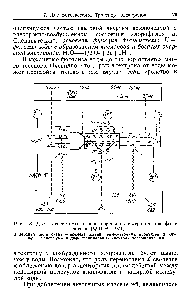 Рис. 18. Две фотосистемы и <a href="/info/511072">цепь переноса электронов</a> при фотосинтезе (Witt Н., 1971)