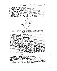 Рис. 14-3. <a href="/info/18621">Оптическое вращение</a> как результат циркулярного двойного лучепреломления. (Из книги Джерасси <a href="/info/18621">Дисперсия оптического</a> вращения ,