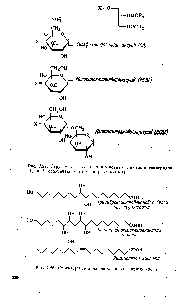 Рис. 7.27. Структуры и <a href="/info/1553382">сокращения основных</a> гликозилдиглицеридов (Н1 и Нг обозначают остатки жирных кислот).