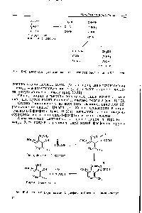 Рис. 16.20. Биосинтез трех аминокислот из <a href="/info/948">глицериновой кислоты</a>-З-фосфата.