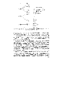 Рис. 4.20. Корреляционная диаграмма <a href="/info/1199">молекулярных орбиталей</a> (а) и <a href="/info/1460964">фотоэлектронный спектр</a> молекулы N2 Г