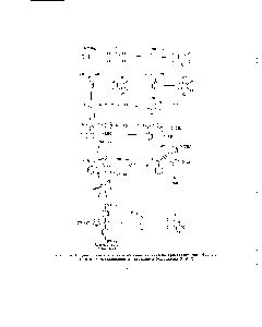Рис. 14. Предполагаемый <a href="/info/3345">механизм образования</a> катиона <a href="/info/11434">кристаллического фиолетового</a> из диметиланилина и тетрахлор-п-бензохинона ( l4BQ).