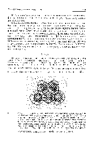 Рис. 11.1. <a href="/info/1221962">Структура гидратов</a>, или клатратов, <a href="/info/1595">благородных газов</a>. На рисунке изображены 5 из 8 полиэдров (многограиников), входящих в каждую <a href="/info/5055">элементарную ячейку</a>. Внутри каждого многогранника находится атом ксенона. В каждой вершине многогранника расположено по атому ислорода, а вдоль каждого <a href="/info/350758">ребра</a> располагается <a href="/info/92650">атом водорода</a>, связанный <a href="/info/917">водородной связью</a> с атомами кислорода. Расчет показывает, что многогранники, входящие в каждую <a href="/info/5055">элементарную ячейку</a>, образованы 46 <a href="/info/197765">молекулами воды</a>. Таким образо.м,