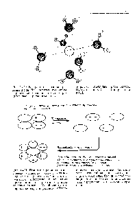 Рис. 14-21. При растворении кристаллического вещества, состоящего из <a href="/info/4876">полярных молекул</a>, его устойчивость нарущается вследствие разъединения противоположно заряженных концов <a href="/info/1079034">соседних молекул</a>. Устойчивость <a href="/info/4876">полярных молекул</a> в растворе обусло-