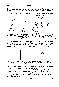 Рис. 16.27. <a href="/info/92367">Орбитальные энергии</a> пентадиенильной системы, <a href="/info/133313">вычисленные методом</a> МОХ. У катиона (изображенного справа) два связывающих уровня заняты четырьмя электронами.