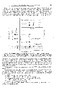 Рис. 148. <a href="/info/129036">Тонкослойная хроматограмма</a> (метод РРР) концентрата пиретрума.