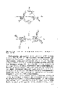 Рис. 4.2. <a href="/info/1495556">Схема пространственного</a> расположения атомов в молекуле озонида этилена
