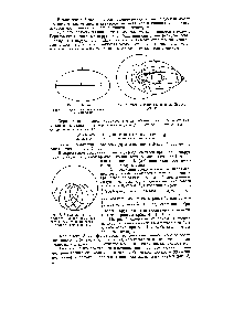 Рис. 8. Вращение перигелия эллипса, по которому движется электрон (прецессия эллиптической орбиты)