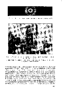 Рис. 94, <a href="/info/1089143">Рентгенограмма исследованного</a> полиэтилентерефталата .