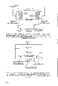 Рис. 12. <a href="/info/1491685">Электрическая эквивалентная схема ячейки</a> для <a href="/info/358256">измерения электропроводности</a>, включающая активные и емкостные составляющие, отвечающие <a href="/info/911356">элементам схемы</a> и электрохимическим процессам [7].