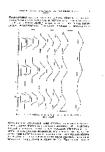 Рис. 1. Факел, состоящи из <a href="/info/96443">комплекса плоских</a> параллельных струй.