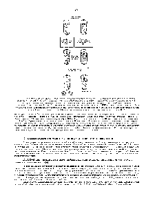 Рис. 10-4. Схема <a href="/info/1345395">стандартного метода</a> выявления <a href="/info/1383619">радиоактивно меченных</a> молекул РНК, имеющих <a href="/info/1338653">определенную нуклеотидную последовательность</a>. В том случае, если молекулы РНК могут <a href="/info/1899277">образовать</a> гибридный РНК/ДНК дуплекс с од-ноцепочечным фрагментом ДНК, используемым в качестве специфического зонда, эти молекулы остаются неповрежденными в процессе нуклеазной обработки и легко обнаруживаются по <a href="/info/33082">радиоактивной метке</a>. В экспериментах, описанных в тексте, очищенные сегменты ДНК. соответствующие разным генам, были получены с помощью клонирования молекул кДНК, которые, в свою очередь, были синтезированы путем <a href="/info/33537">обратной транскрипции</a> суммарной мРНК