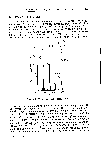 Рис. 5-5. <a href="/info/15980">Масс-спектр</a> гексаметиленимина.