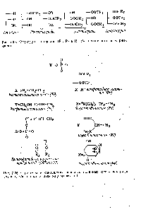 Рис. 7.25. <a href="/info/1074877">Структуры глицеридов</a> (Rl, Нг и Нз обозначают остатки жирных кислот).