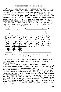 Рис. 22. Модель атомов первых трех и начала <a href="/info/1788938">четвертого периода таблицы</a> Менделеева.