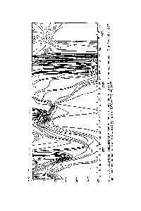 Рис. 5.2. Изоплеты концентрации растворенного кислорода (мг/л) в <a href="/info/1427867">водохранилище</a> Хартбееспорт Дэм (расположенном на высоте 1162 м над ур. м.) в 1973—1975 гг. [472].