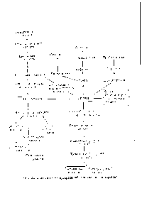 Фиг. 21. Сводная схема превращений фенилаланина и тирозина.
