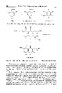 Рис. 3.6. Поликетидный <a href="/info/511882">механизм биосинтеза</a> бензохинона спинулозина.