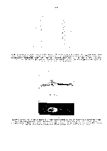 Рис. 4-10 Фибробласт в культуре ткани при наблюдении с помощью четырех различных типов световой микроскопии. А. Изображение получено при прямом прохождении лучей через клетку (микроскопия в светлом поле). Остальные изображения получены с помощью методов, рассматриваемых в тексте Б-фазово-контрастная микроскопия В -интерференционная микроскопия /" микроскопия в темном поле Простая замена