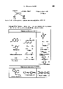 Таблица 7.9-6. Примеры хемилюминесцентных усилителей а реакшш окисления <a href="/info/18856">люминола</a>, катализируемой пероксидазой хрена